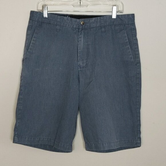 Volcom Blue Striped Shorts - Picture 1 of 5
